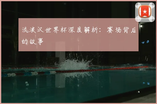 流浪汉世界杯深度解析：赛场背后的故事