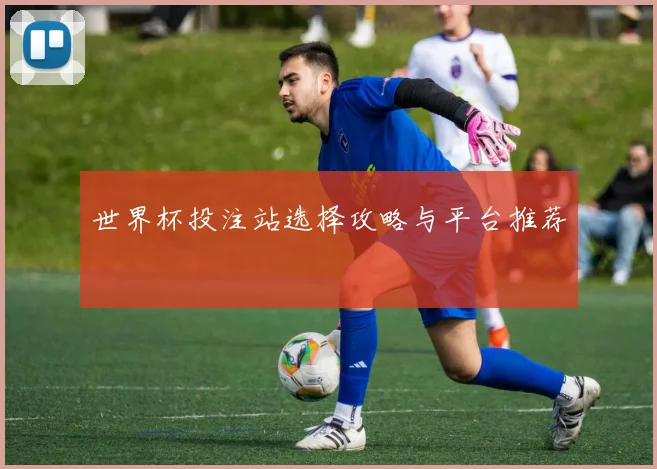 世界杯投注站选择攻略与平台推荐