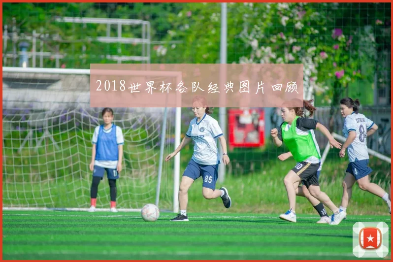 2018世界杯各队经典图片回顾