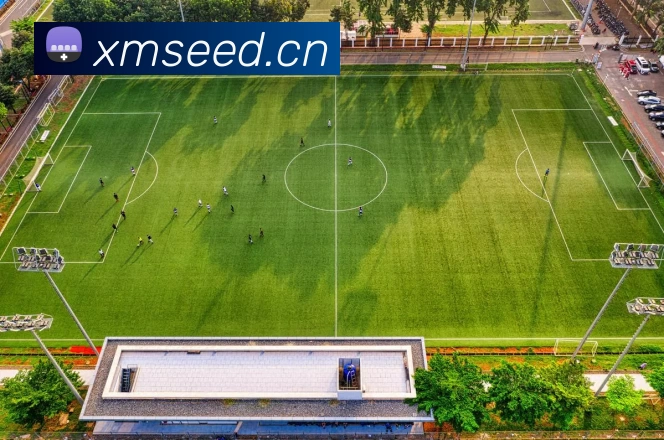 数据防护可视化